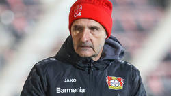 Achim Feifel bleibt Coach bei Bayer Leverkusen