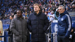 Youri Mulder verteidigt die "Vision" des FC Schalke 04