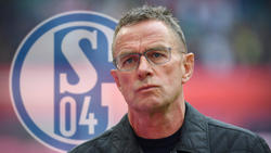 Ralf Rangnick arbeitete bereits von 2004 bis 2005 sowie im Jahr 2011 als Trainer beim FC Schalke 04