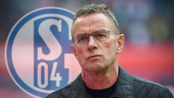 Wird Gespräche mit dem FC Schalke 04 führen: Ralf Rangnick