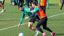 Auf dem Trainingsplatz von Borussia Mönchengladbach geht es heiß her