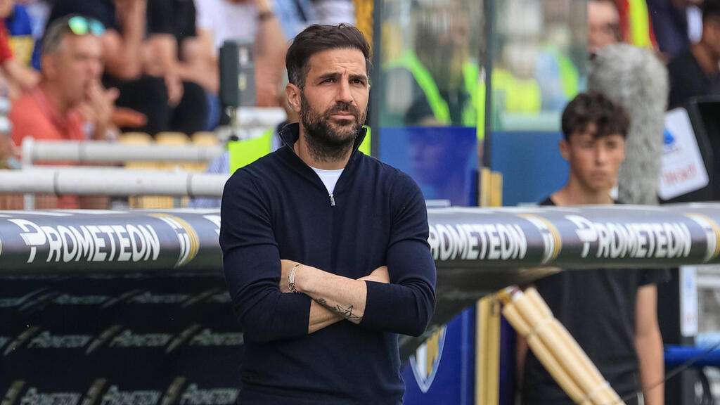 Cesc Fabregas ist begehrt Cesc Fabregas ist begehrt