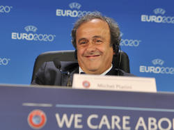Michel Platini bekommt Unterstützung aus der Politik
