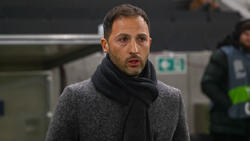 Aus für Domenico Tedesco als belgischer Nationaltrainer