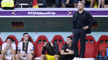 Hansi Flick und das DFB-Team sind bei der WM gescheitert