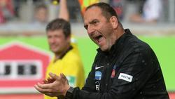 Frank Schmidt ist seit fast zwölf Jahren Trainer des 1. FC Heidenheim