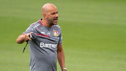 Trainer Peter Bosz strebt mit Bayer Leverkusen attraktiven Fußball an. Foto: Marius Becker