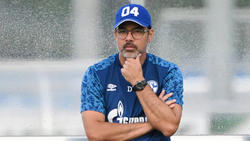 David Wagner trainiert seit 2019 den FC Schalke 04