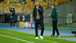 Stefan Effenberg lobt Marco Rose