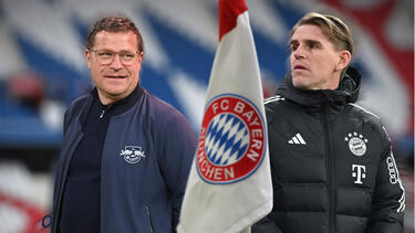 Die Bosse des FC Bayern müssen es nicht weiter bei De Zerbi versuchen