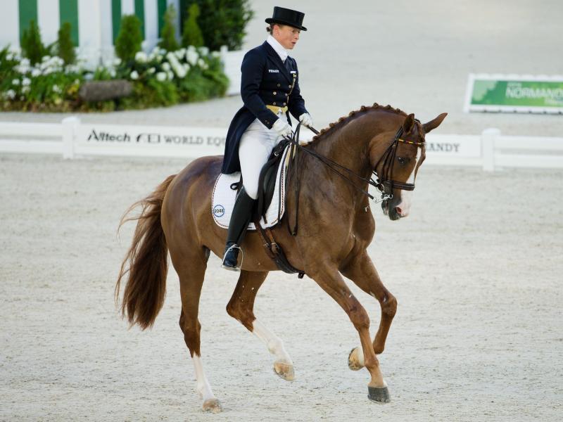 Isabell Werths Pferd Bella Rose leidet an einer Knieverletzung. Foto: Rolf Vennenbernd Isabell Werths Pferd Bella Rose leidet an einer Knieverletzung. Foto: Rolf Vennenbernd
