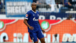 Naldo ist weiterhin ein Wortführer auf Schalke
