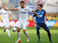 Trifft Herthas Vedad Ibišević (l.) gegen Hoffenheim?