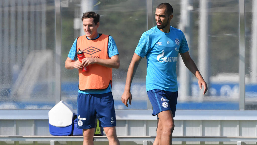 Sebastian Rudy und Nabil Bentaleb floppten beim FC Schalke 04