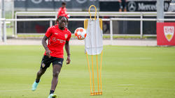 Der VfB Stuttgart kann wieder mit Tanguy Coulibaly planen