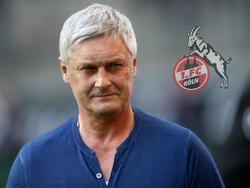 Der neue Sportdirektor des 1. FC Köln: Armin Veh