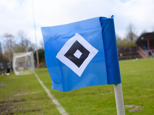 Die Spieler der HSV-Junioren verließen bei einem Testspiel den Platz