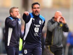David Wagner hofft mit Huddersfield Town auf den Aufstieg ins englische Oberhaus