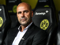 Peter Bosz bereitet seine Mannschaft auf das Saisonspiel gegen Freiburg vor
