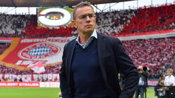 Ralf Rangnick geht wohl nicht zum FC Bayern