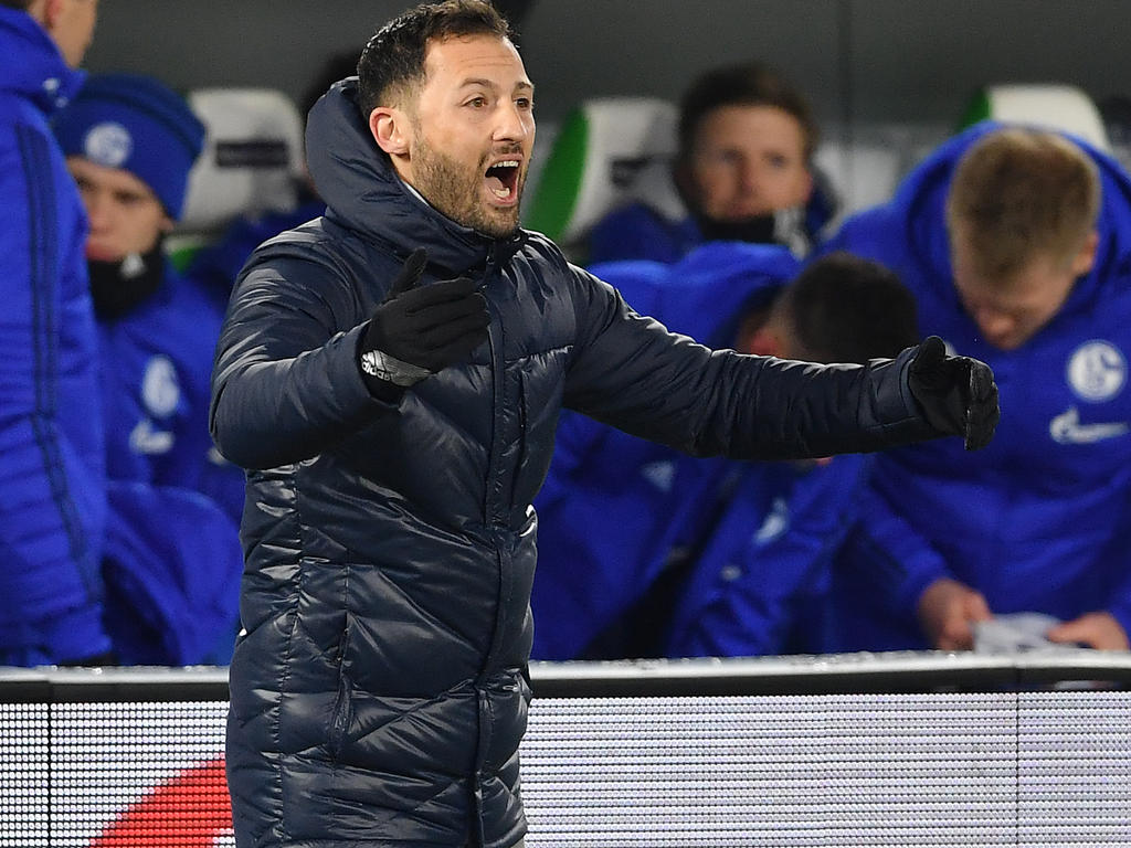 Schalke-Trainer Domenico Tedesco will am Samstag den siebten Sieg in Serie feiern