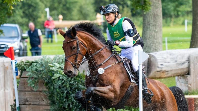 Ingrid Klimke auf Asha P reitet in der Geländeprüfung über ein Hindernis Ingrid Klimke auf Asha P reitet in der Geländeprüfung über ein Hindernis