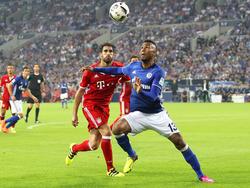 Schalke schöpft Mut aus der starken Leistung gegen die Bayern