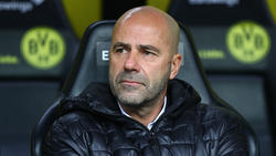 Peter Bosz könnte in die Bundesliga zurückkehren