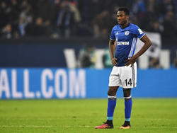 Abdul Rahman Baba bestritt 21 Pflichtspiele für Schalke 04