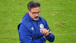 David Wagner ist beim FC Schalke schwer angezählt