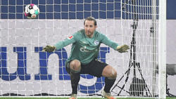 Ralf Fährmann hat sich den Stammplatz im Tor des FC Schalke 04 erkämpft