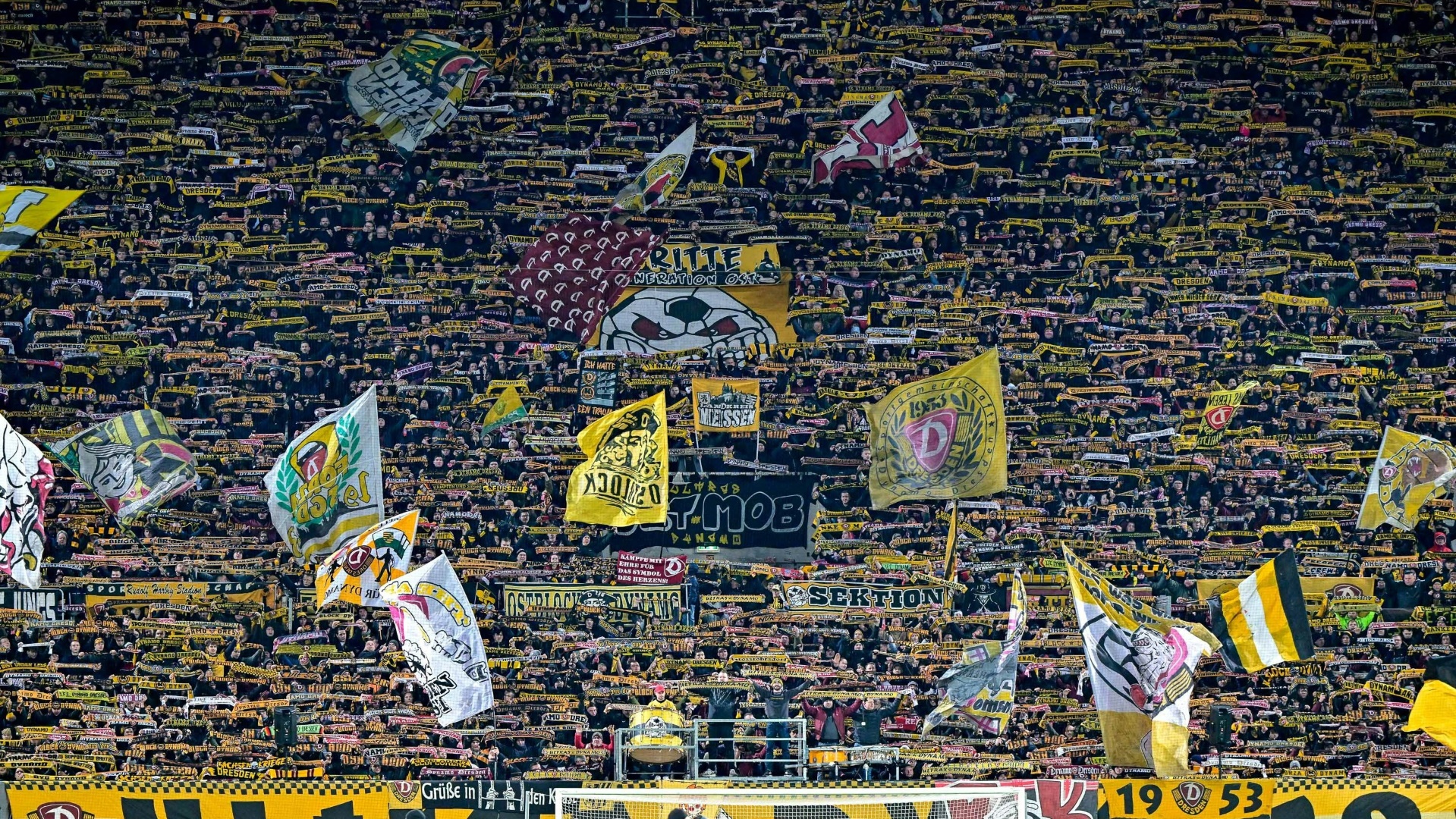Dynamo Dresden ist der Zuschauermagnet