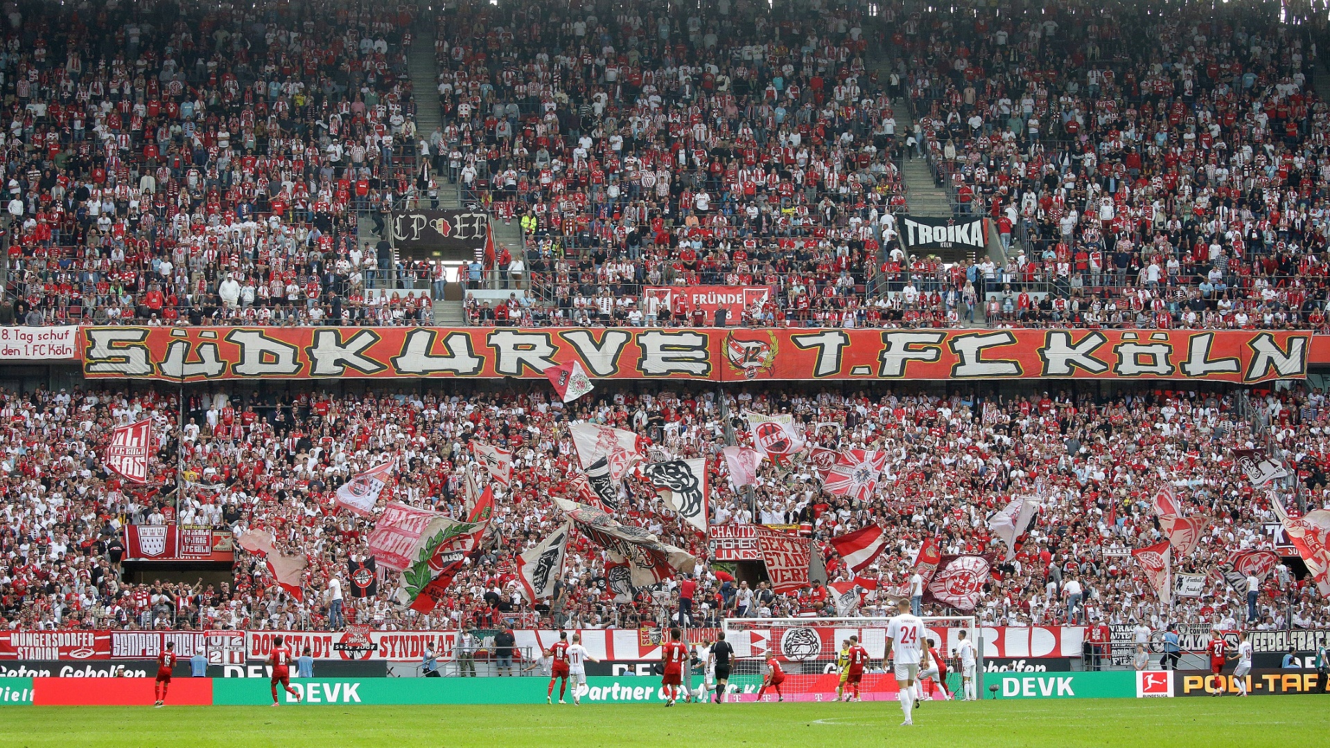 Die Fans vom 1. FC Köln stehen in der Kritik
