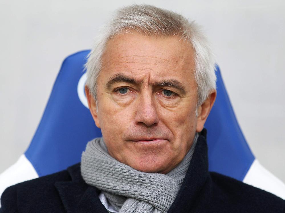 HSV-Trainer Bert van Marwijk HSV-Trainer Bert van Marwijk