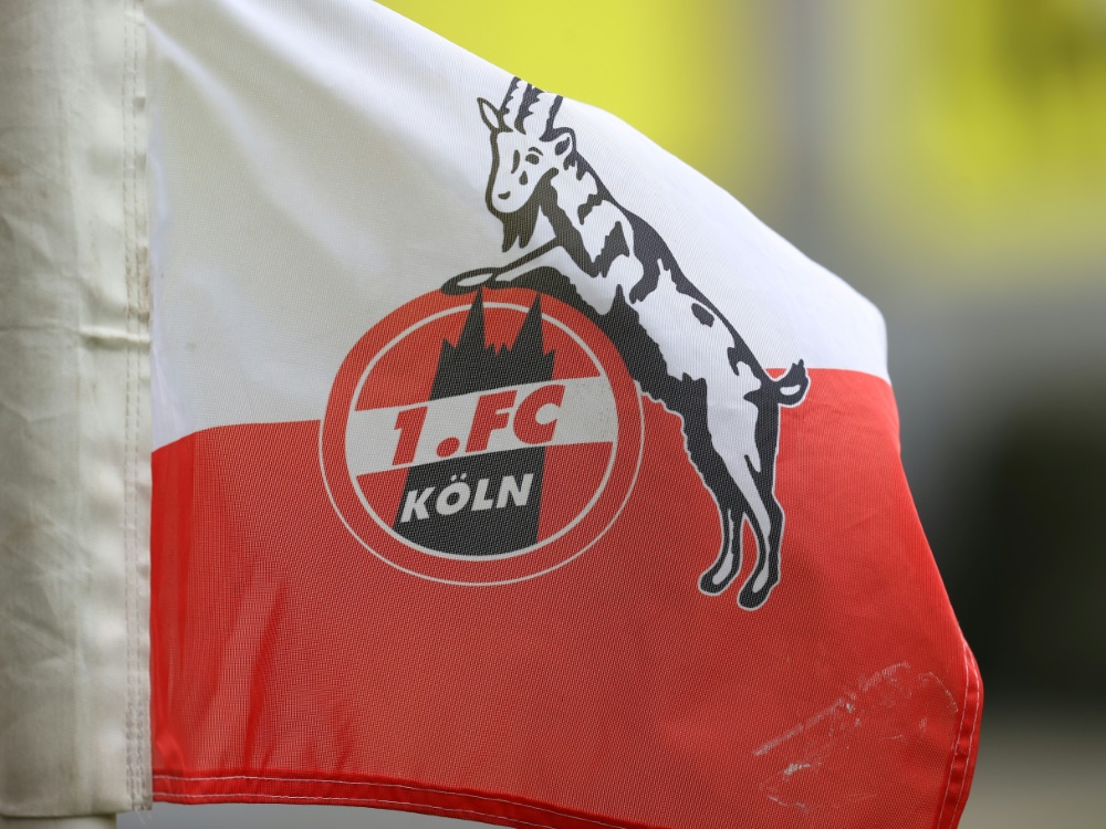 Der 1. FC Köln bindet wohl die Talente Meiko Wäschenbach und Rijad Smajic