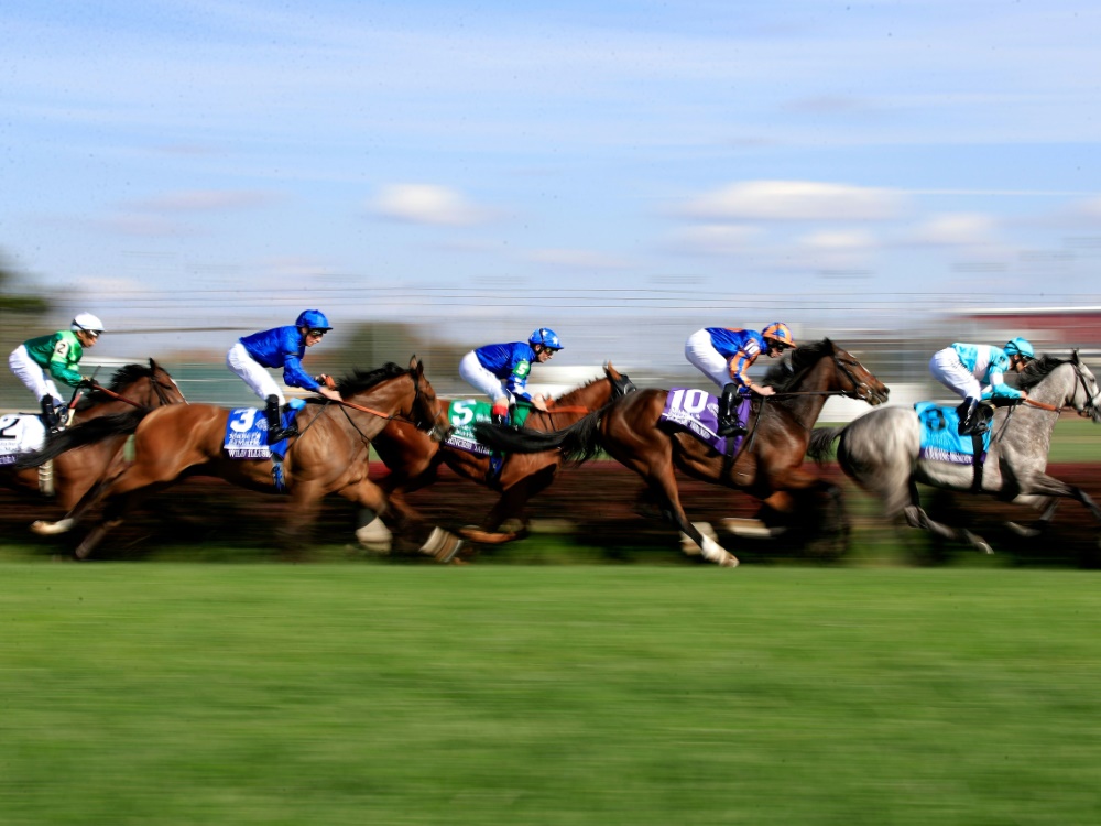 Jockey Maxim Pecheur gewann mit Diamanta das Stutenderby Jockey Maxim Pecheur gewann mit Diamanta das Stutenderby