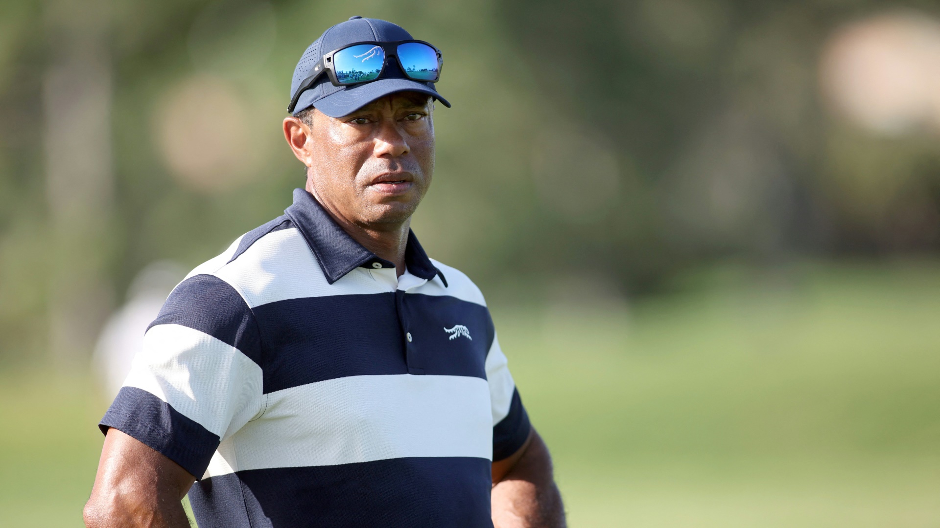 Vorsitzender des Zukunfts-Komitees: Golf-Ikone Tiger Woods