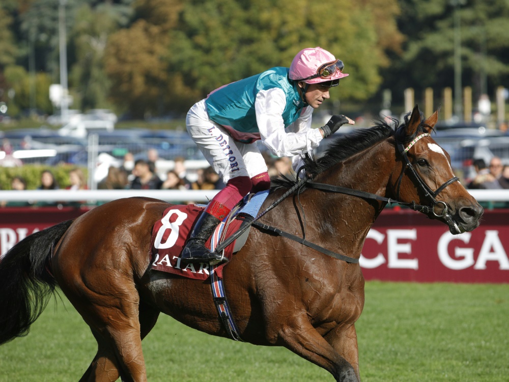 Enable holte ihren dritten Sieg in Ascot Enable holte ihren dritten Sieg in Ascot