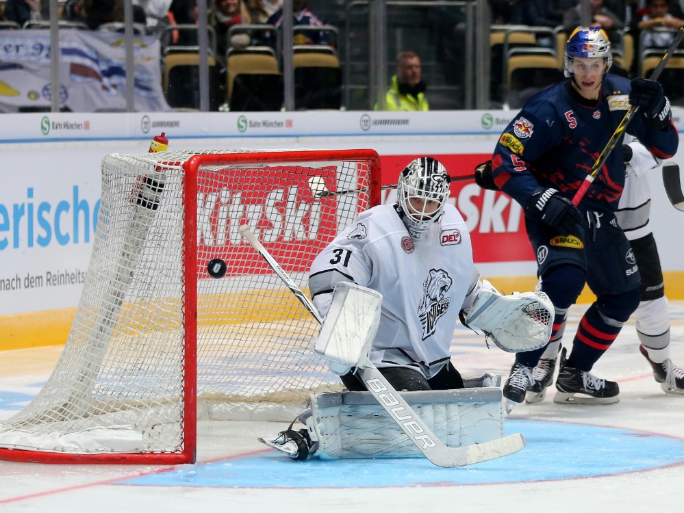 Ice Tigers Nürnberg Forum Ice Tigers Nürnberg Forum