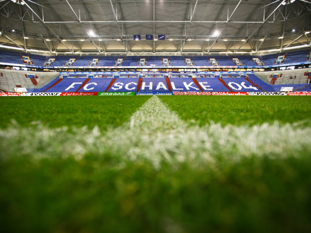 Schalke spielt auf neuem Rasen gegen Hoffenheim