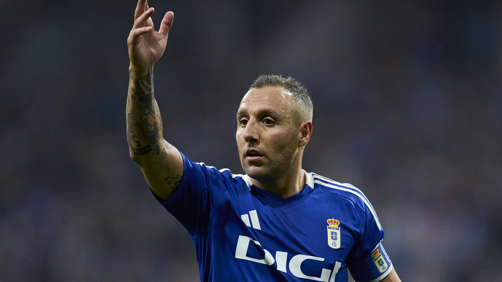 Für Oviedo auch in La Liga: Santi Cazorla Für Oviedo auch in La Liga: Santi Cazorla