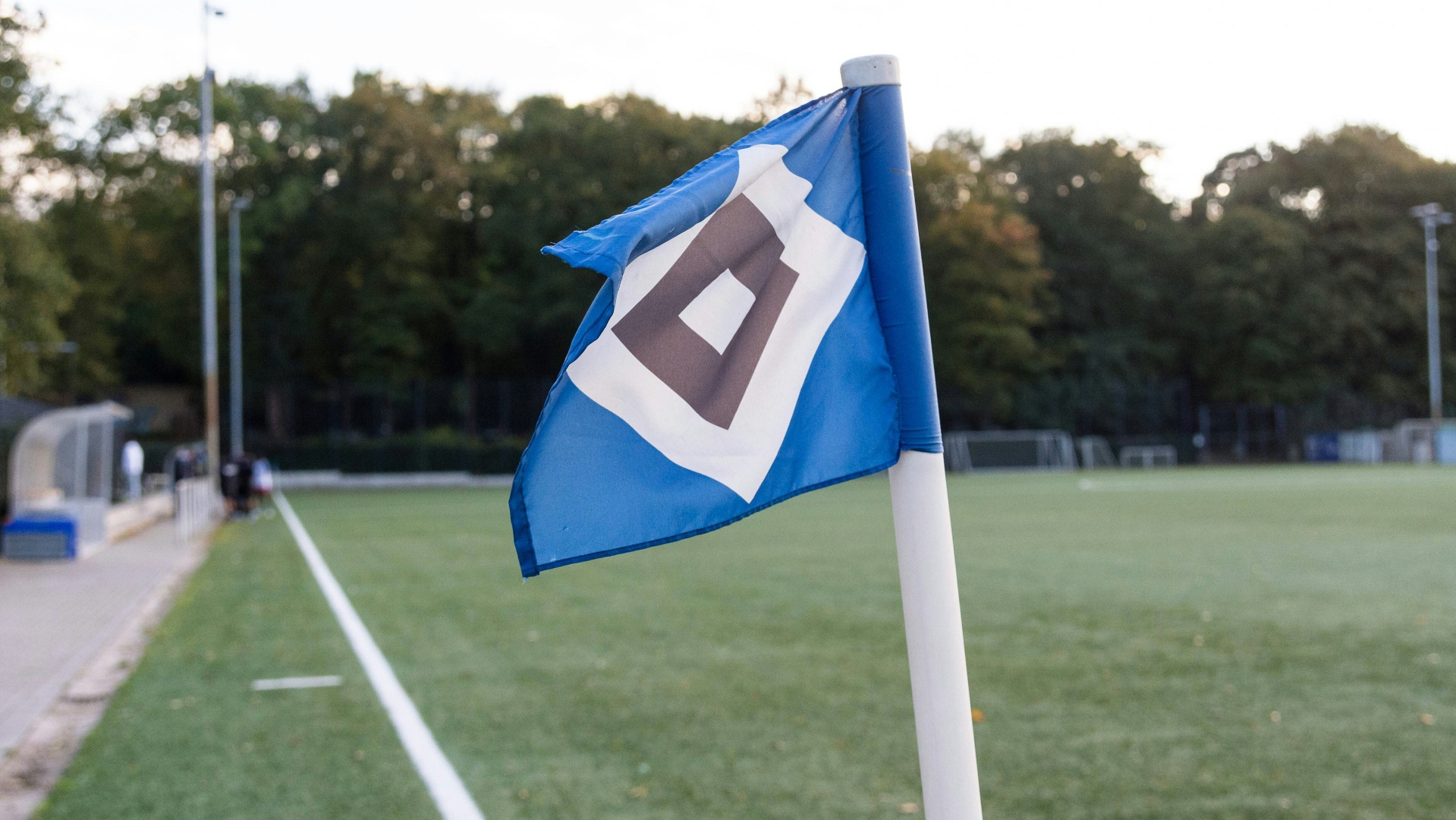 HSV kann sich über Gewinn freuen HSV kann sich über Gewinn freuen