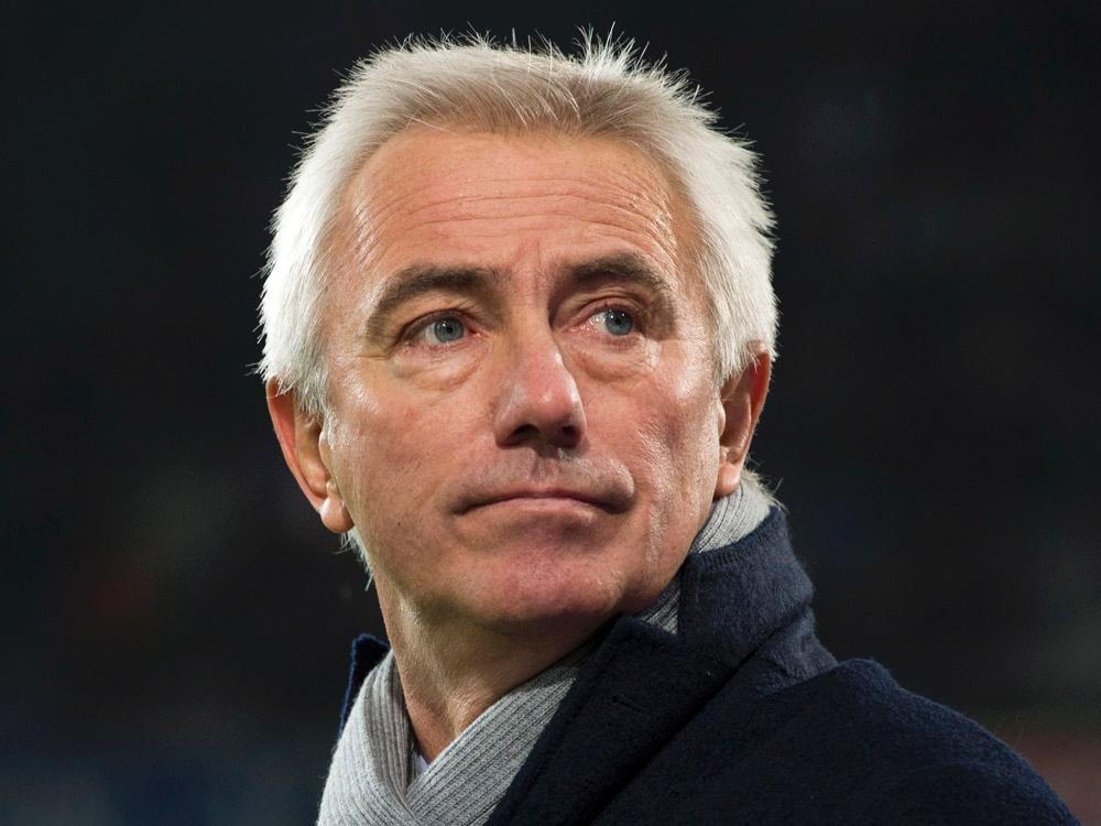 HSV-Trainer Bert van Marwijk HSV-Trainer Bert van Marwijk