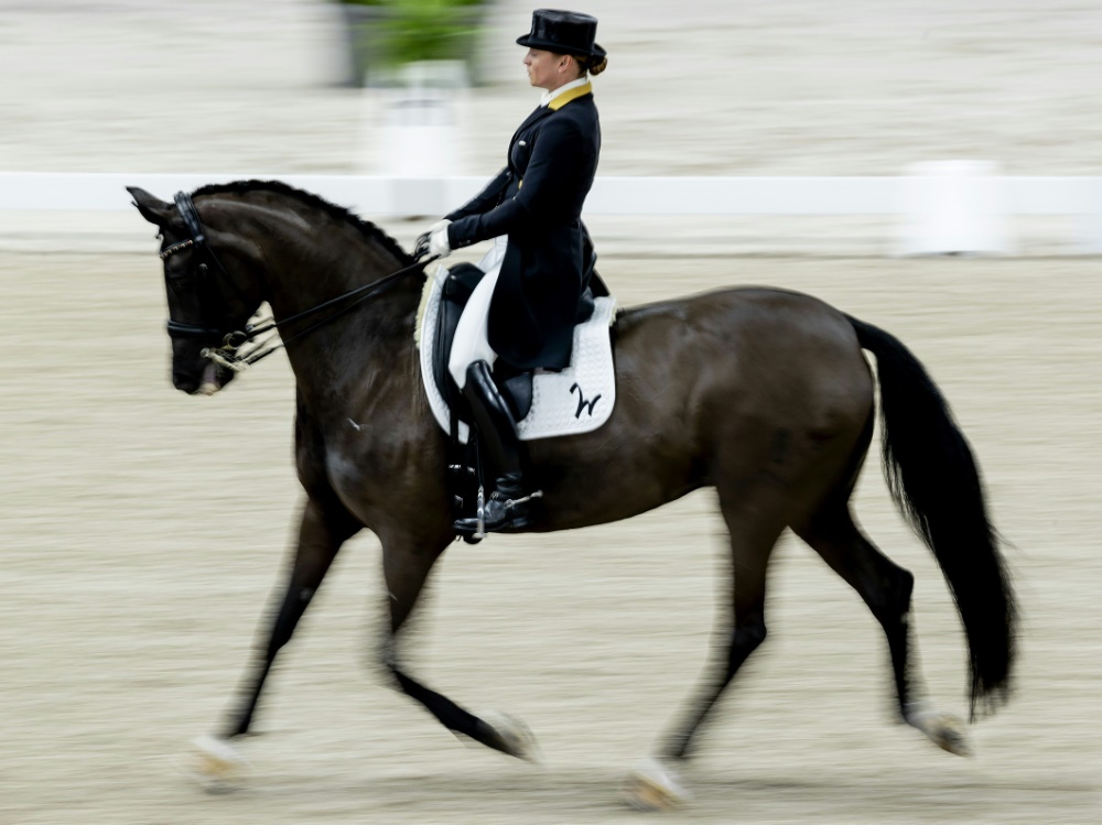 Isabell Werth gewinnt mit Weihegold den Grand Prix Isabell Werth gewinnt mit Weihegold den Grand Prix