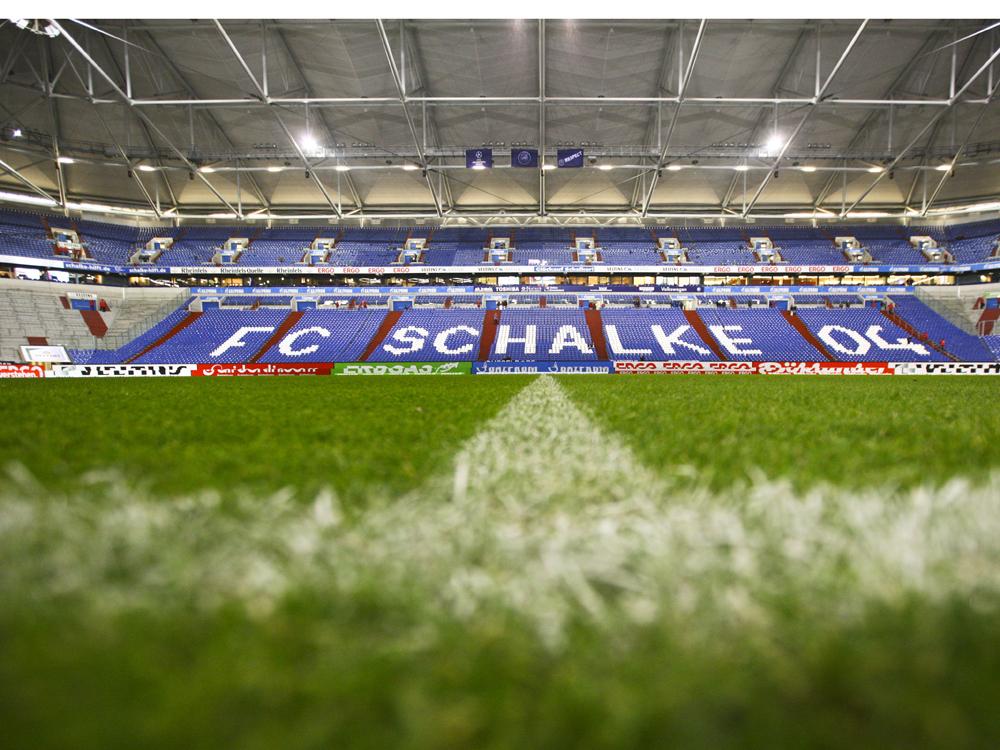 In fünf Jahren wird zum dritten Mal neuer Rasen auf Schalke eingesetzt