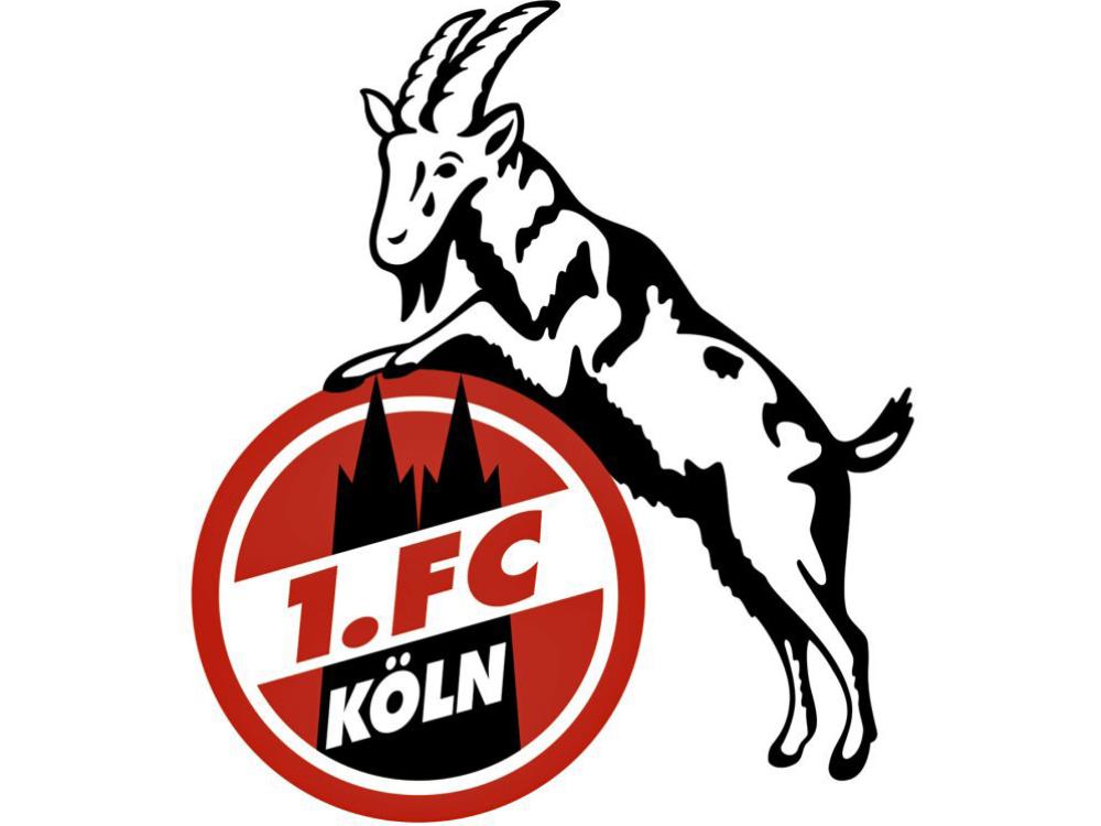 1. FC Köln führt Vergütung für den Vorstand ein