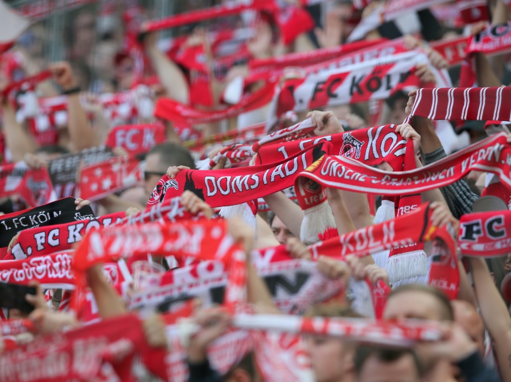 Die Fans des 1. FC Köln fielen letzte Saison negativ auf