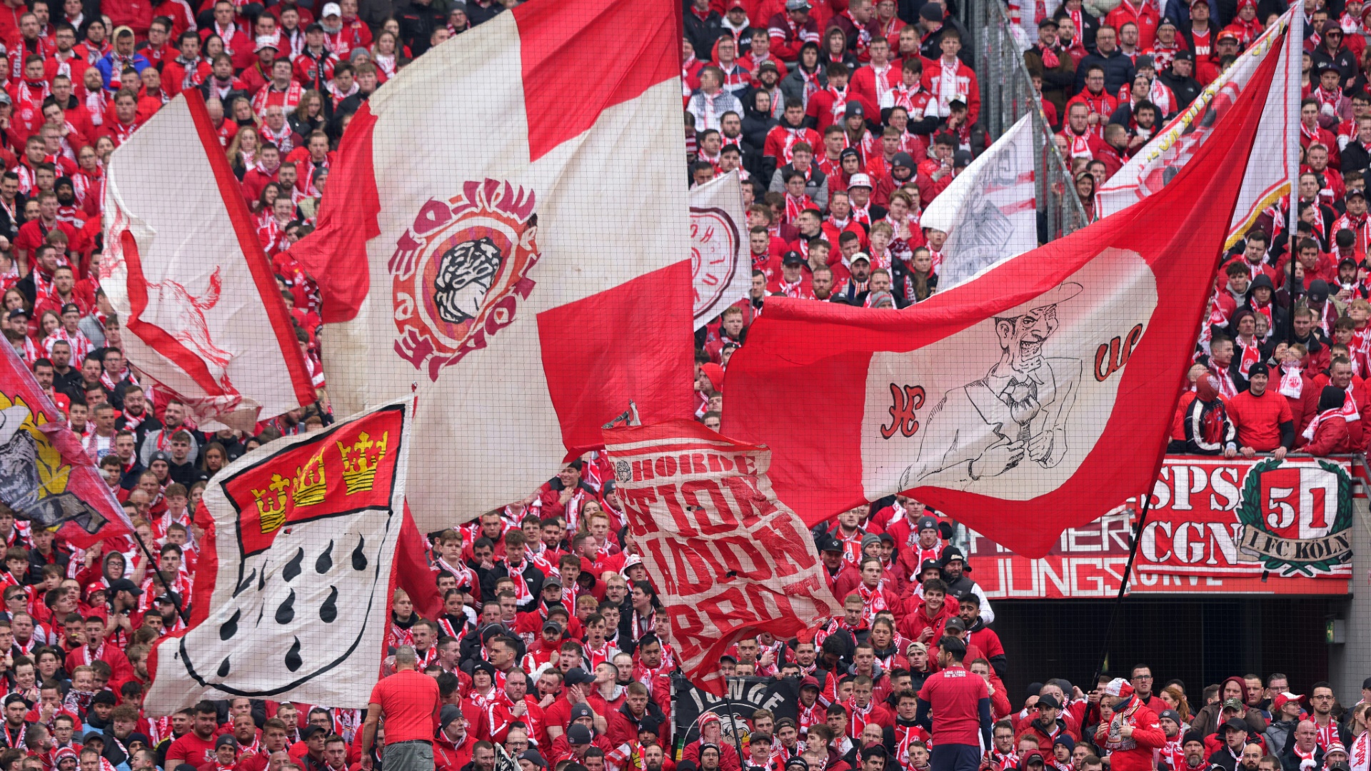 Der 1. FC Köln schließt Düsseldorfer Vorgehen aus Der 1. FC Köln schließt Düsseldorfer Vorgehen aus