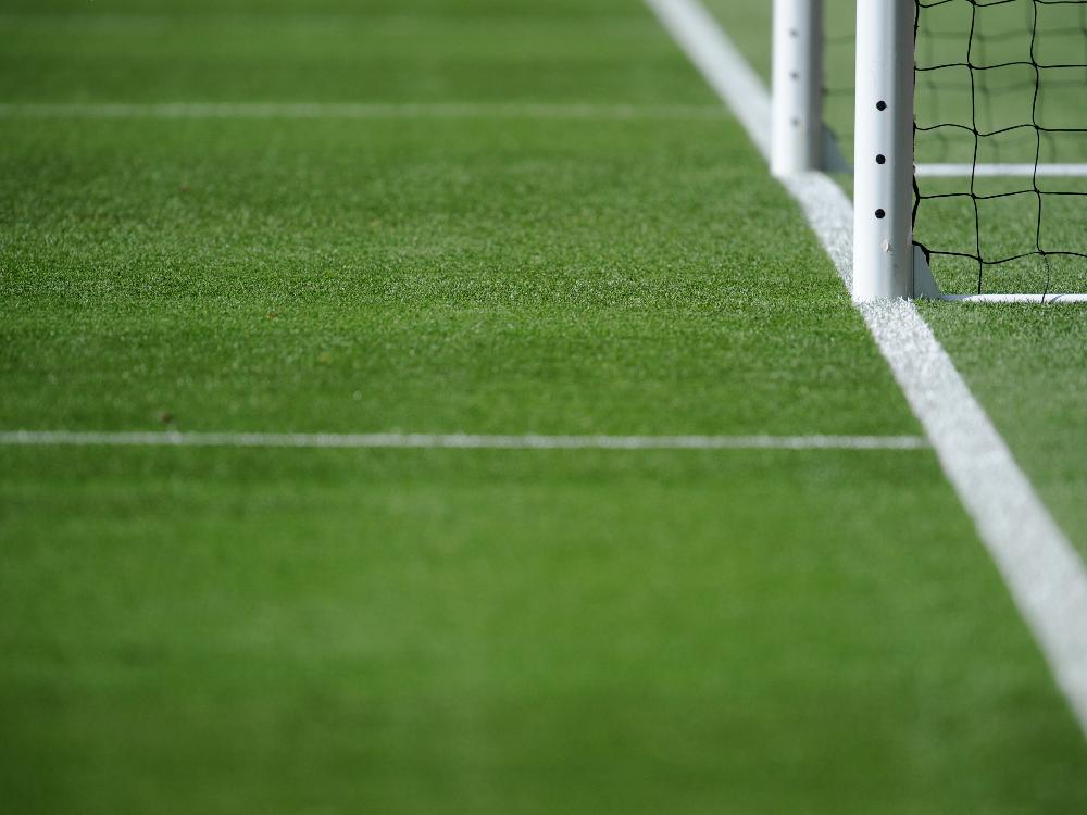 Klubs fordern Torlinientechnologie bereits in Relegation