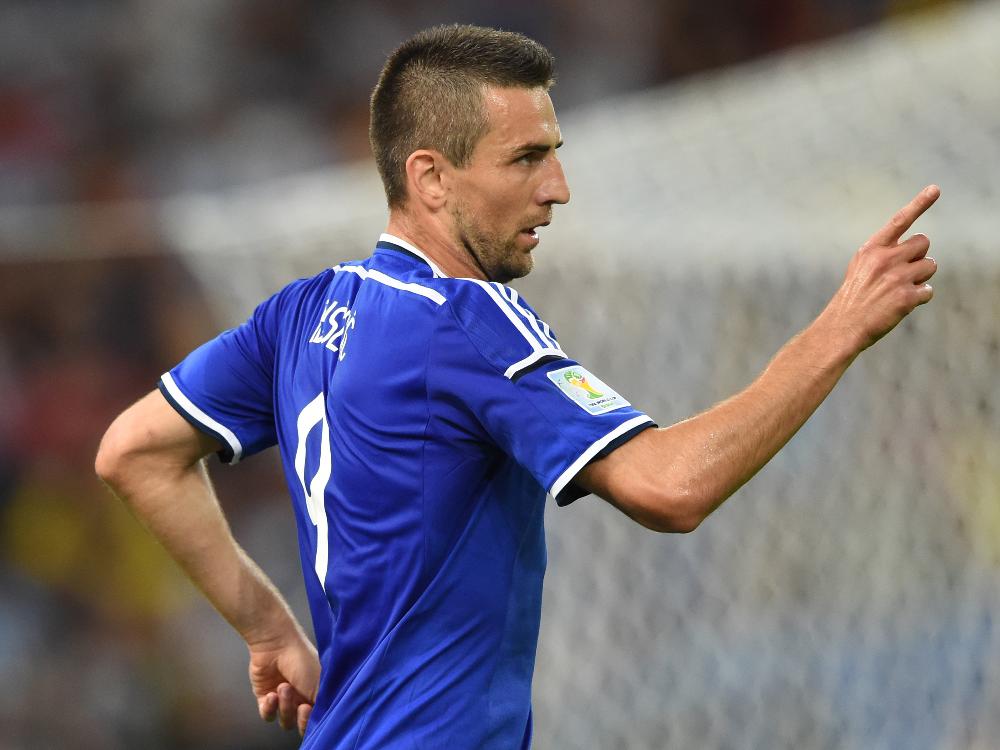 Doppeltorschütze: Vedad Ibisevic Doppeltorschütze: Vedad Ibisevic